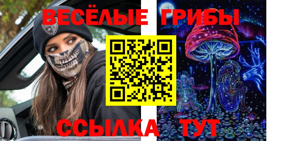продажа наркотиков  Галлюциногенные грибы мицелий  Вход с VPN  Нарткала  Галлюциногенные грибы GOLDEN TEACHER 